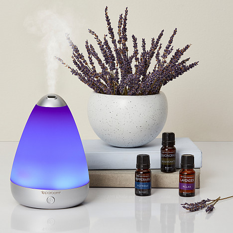 SpaRoom&reg; 3-Pack Everyday Essential Oils. View a larger version of this product image.