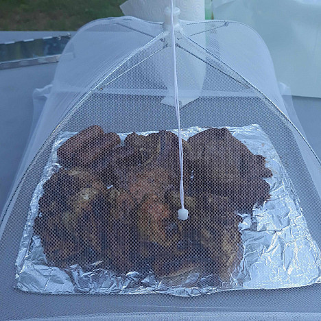 Just Grillin&#39; Food Tents (Set of 2). View a larger version of this product image.