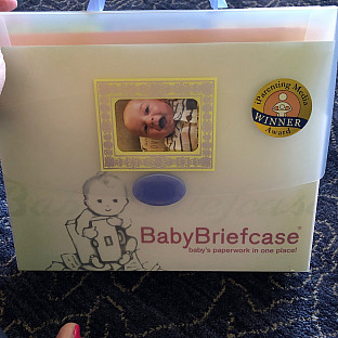Alternate image 1 for BabyBriefcase&reg; Baby Paperwork Organizer