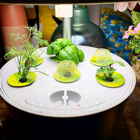 AeroGarden&reg; Harvest 360 Garden System. View a larger version of this product image.
