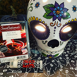 Alternate image 1 for AmbiEscents Day of the Dead Wax Warmer