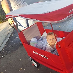 Alternate image 19 for Radio Flyer&reg; 3-in-1 EZ Fold Wagon with Canopy