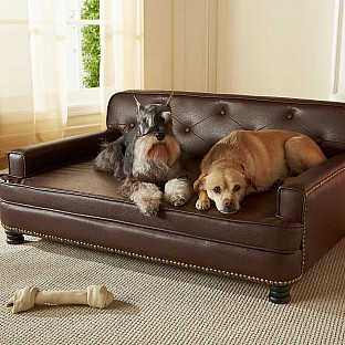 Alternate image 10 for Enchanted Home Pet Library Pet Sofa in Brown Pebble