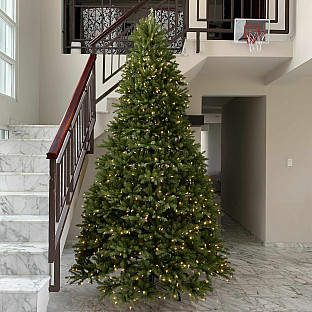 Alternate image 5 for National Tree Dunhill Fir Christmas Tree with PowerConnect&trade; Dual Color&reg; Lights