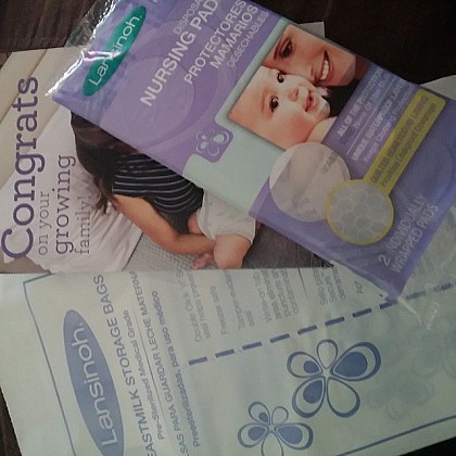 Lansinoh&reg; 25-Count Breastmilk Storage Bags. View a larger version of this product image.