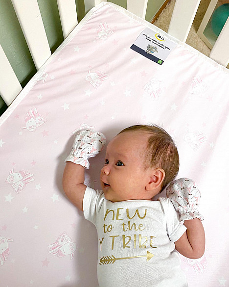 Serta&reg; Perfect Embrace Crib and Toddler Mattress. View a larger version of this product image.