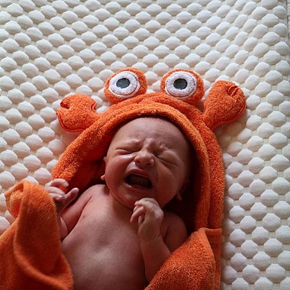 Just Bath by Just Born&trade; Love to Bathe Crab Hooded Towel in Orange. View a larger version of this product image.