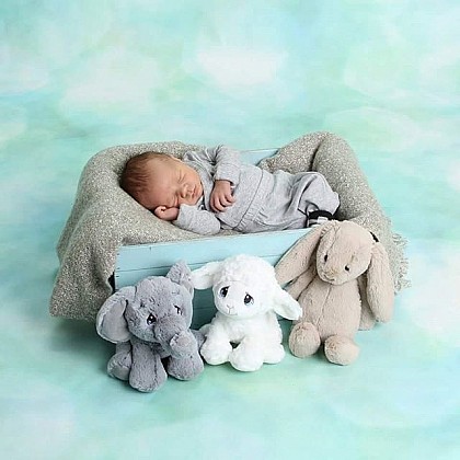 Aurora World Precious Moments Luffie Lamb. View a larger version of this product image.