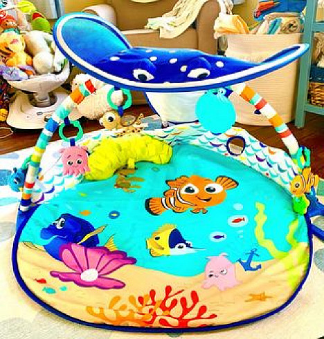 Disney Baby&reg; Mr. Ray Ocean Lights &amp; Music Gym. View a larger version of this product image.
