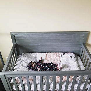 Alternate image 6 for Levtex Baby&reg; Elise Crib Bedding Collection