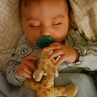 Alternate image 7 for WubbaNub&trade; Size 0-6M Giraffe Infant Pacifier in Brown
