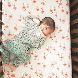 Alternate image 2 for aden + anais&trade; essentials Swan Fitted Crib Sheet in Pink