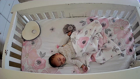 Sweet Jojo Designs Watercolor Floral Corner Floral Crib Sheet in Pink/Grey. View a larger version of this product image.