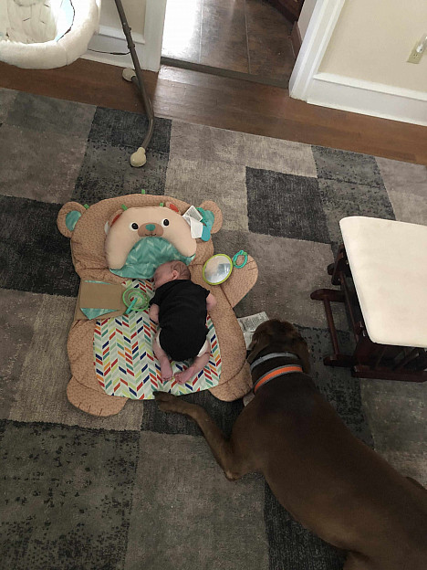 Bright Starts&trade; Prop &amp; Play Tummy Time Bear Mat. View a larger version of this product image.