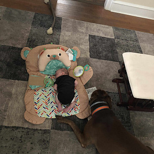 Alternate image 4 for Bright Starts&trade; Prop &amp; Play Tummy Time Bear Mat